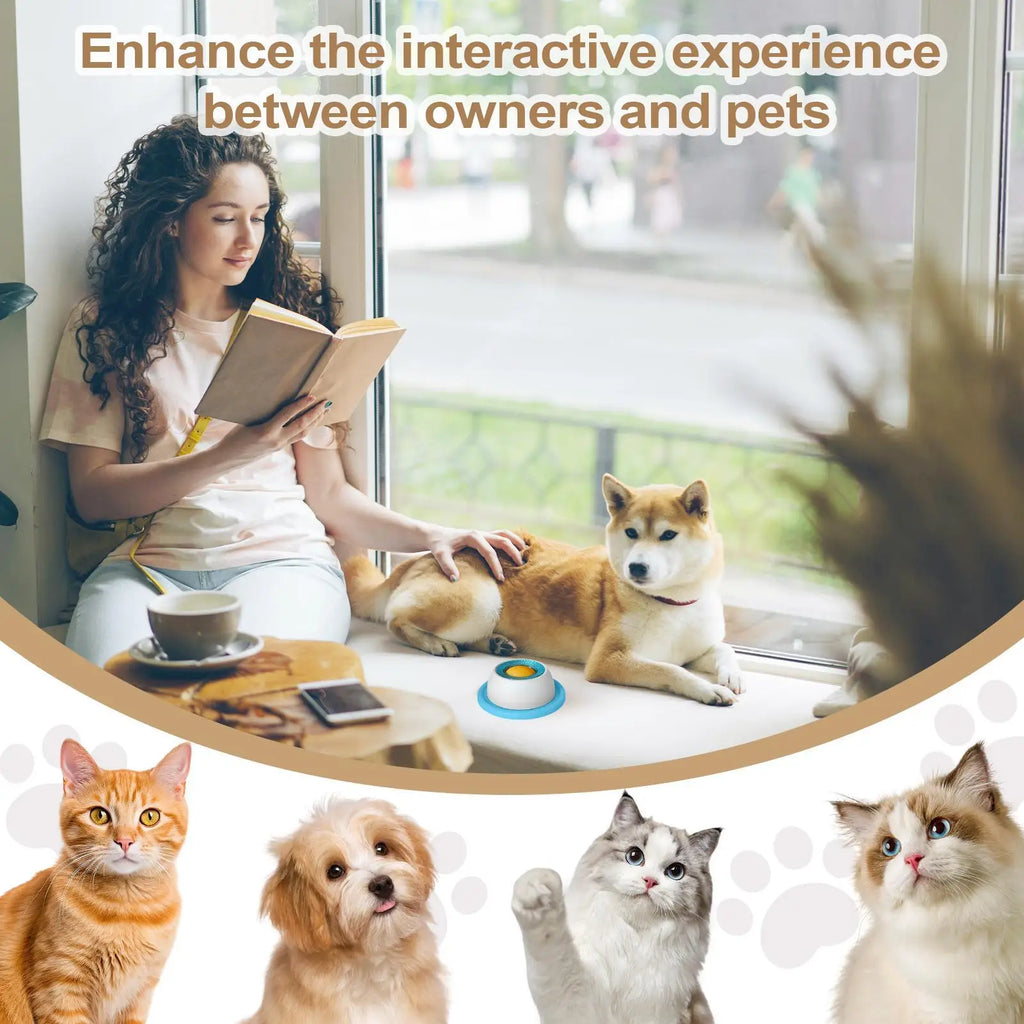 Pet Feeding Dog Treat Toy Puzzle Toys For Bored Puppy