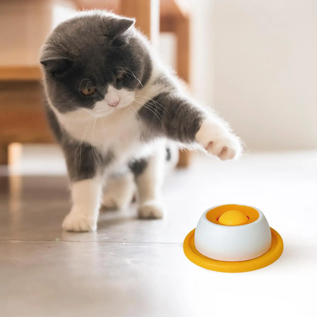 Pet Feeding Dog Treat Toy Puzzle Toys For Bored Puppy