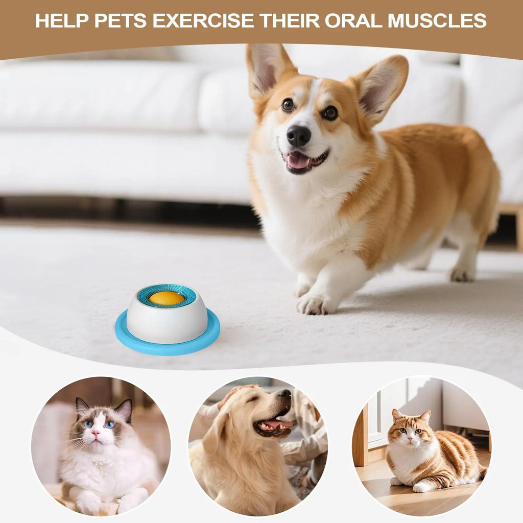 Pet Feeding Dog Treat Toy Puzzle Toys For Bored Puppy